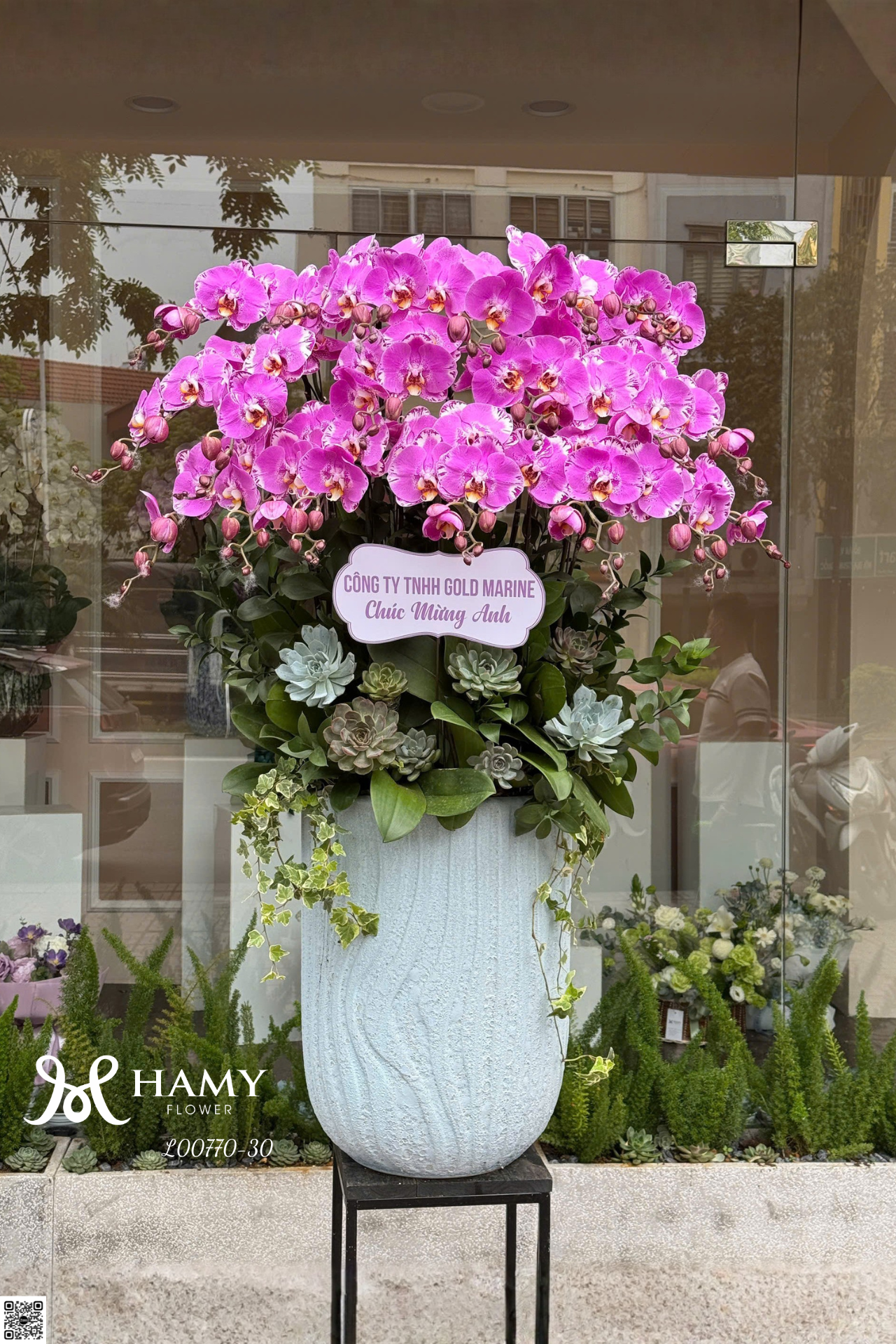 Chậu Lan Hồ Điệp Tím Cao Cấp Tại HamyFlower